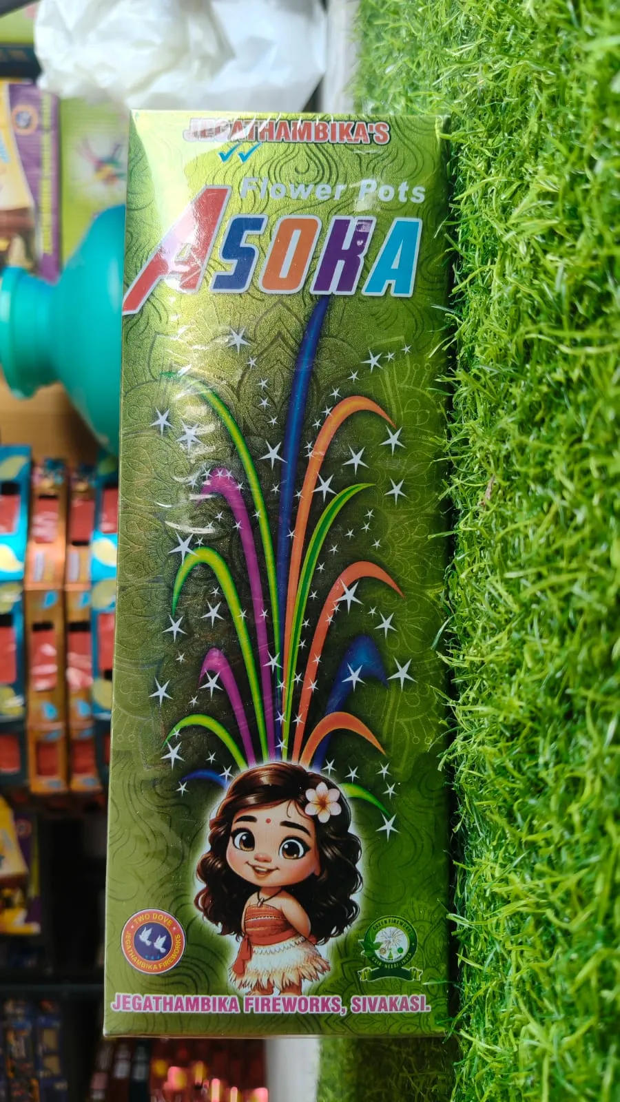 Flower Pots Asoka