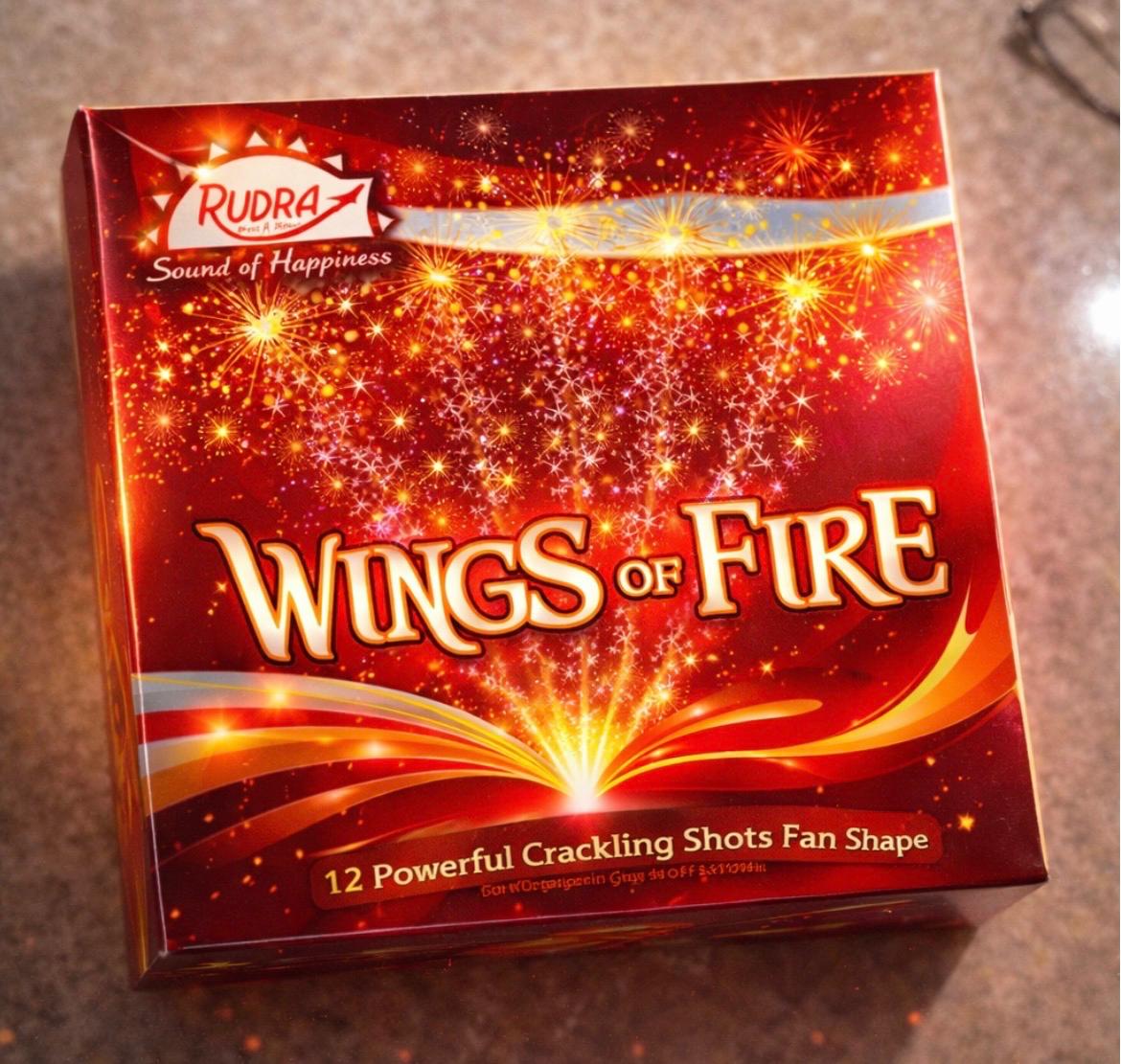 WINGS OF FIRE (5X10) CRACKLING RIDER